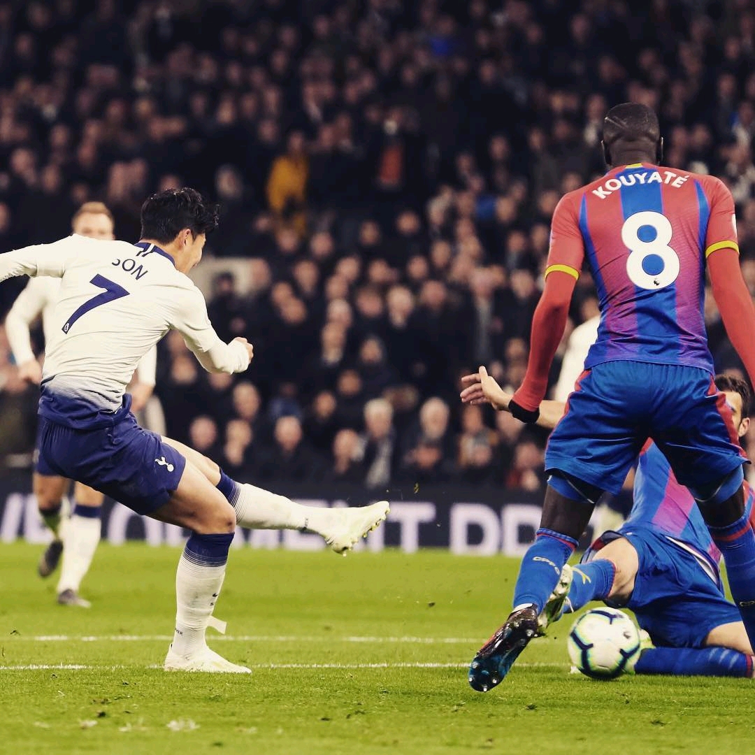 拟提前预测 拟提前预测